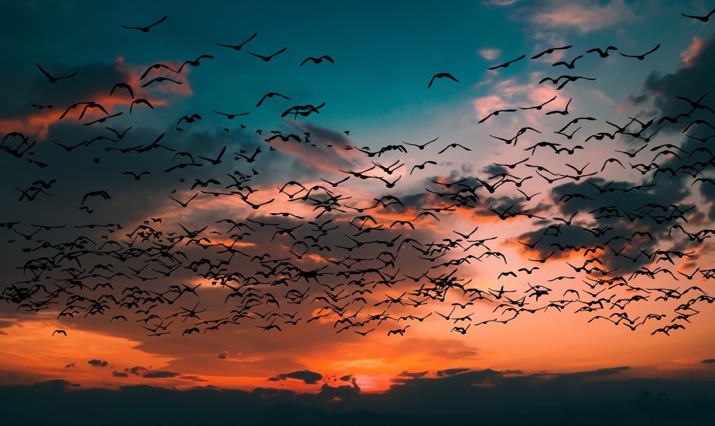 How I Got Myself Into a Gym Routine While Struggling with Mental&nbsp;Illness